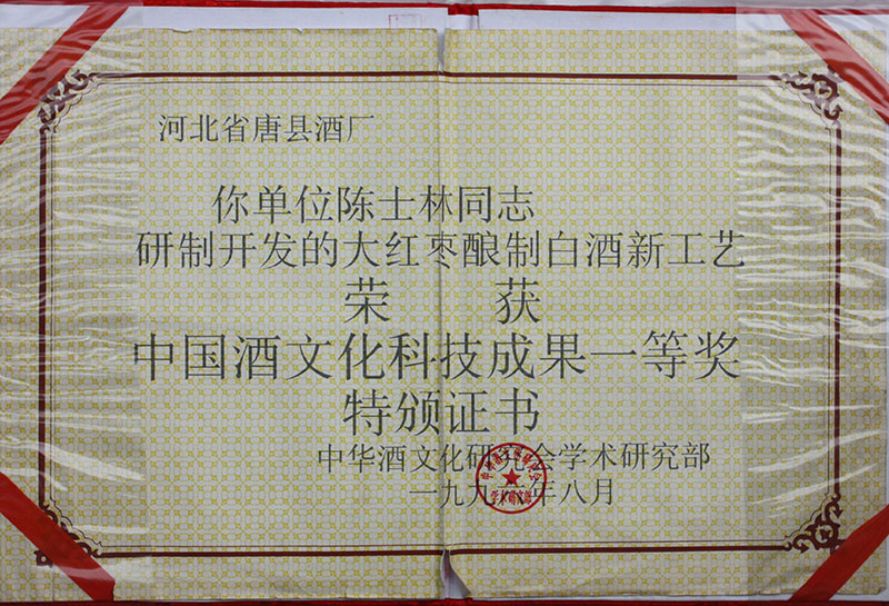 科技成果一等奖副本